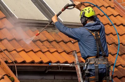 Démoussage et hydrofuge de toiture à la Guillermie